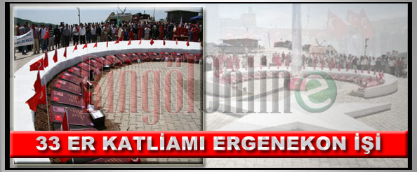 33 er katliamı ergenekon işi