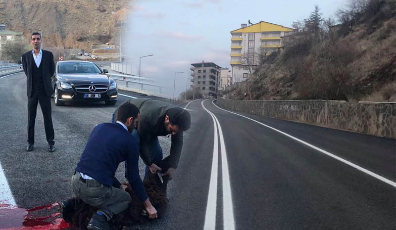 Yoldaki sorun hava şartlarından kaynaklandı