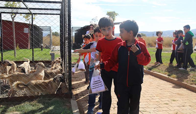 Öğrencilere hayvan sevgisi aşılandı