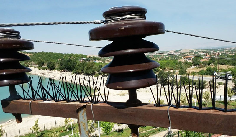 KUŞLAR ÖZGÜRCE UÇUYOR