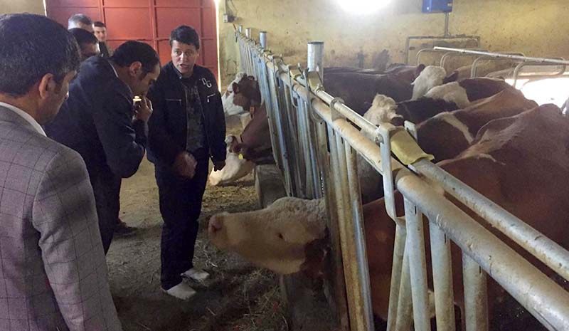 Yüzde 39 tarımdan geçiniyor