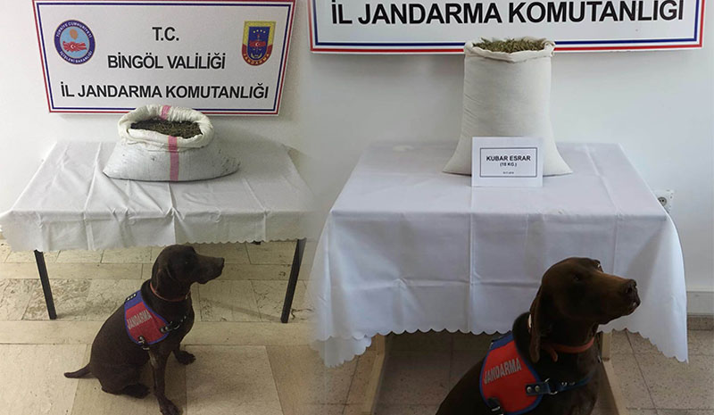 Bingöl`de uyuşturucu operasyonu