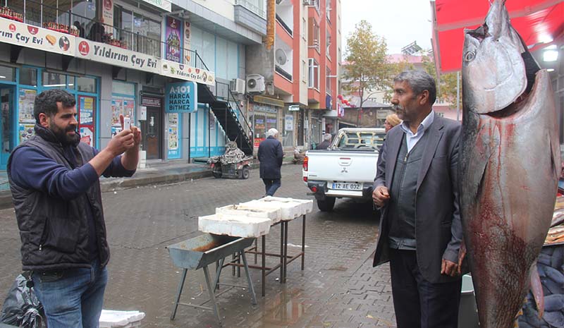 Fotoğraf çekmek için sıraya giriyorlar!