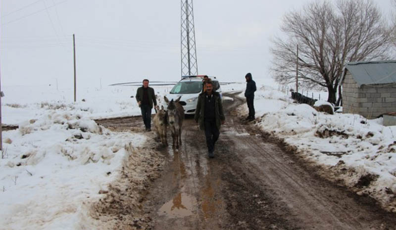 Bakım altına alındılar
