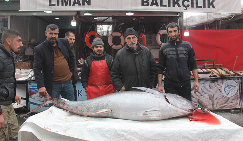 Görenler telefona sarıldı