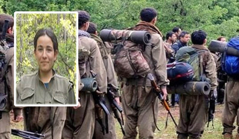 600 Bin Tl Ödülle Aranan PKK`lı Öldürüldü