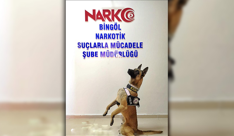 Uyuşturucuya geçit yok!