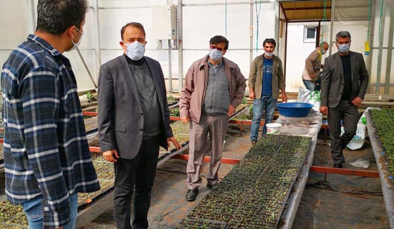 BÜ seralarında fide satışları başladı