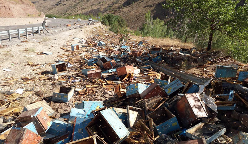 Arı kovanı yüklü kamyon devrildi: 3 ölü