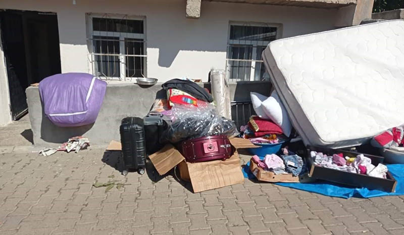 Bir evden 7 yılan çıkartıldı