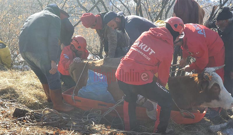 Köylüler `keselim`, AKUT `kurtaralım` dedi...!