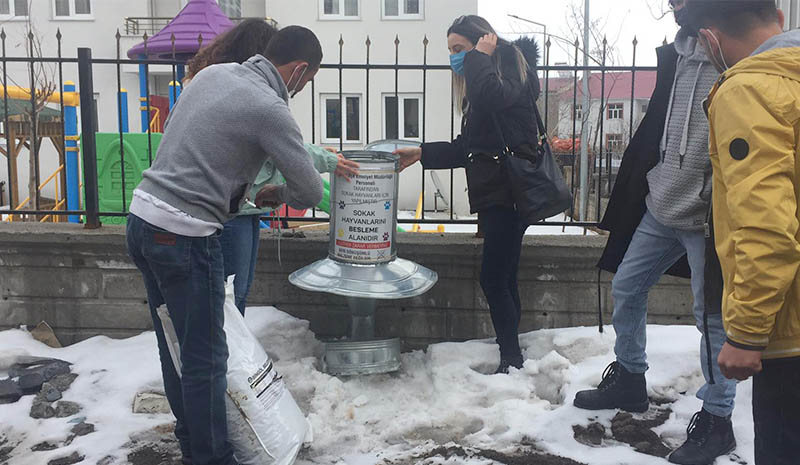Karlıova`da Sokak hayvanları için mamalık bırakıldı