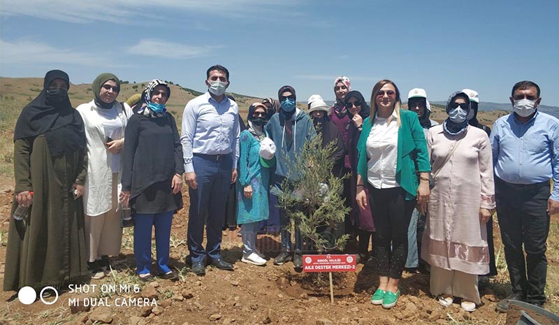 Kadınlar, 3 bin fidanı toprakla buluşturdu