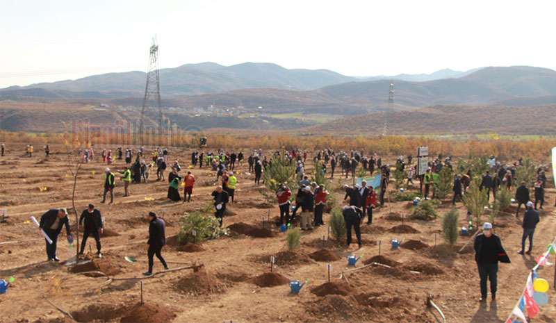 40 bin fidan toprakla buluştu