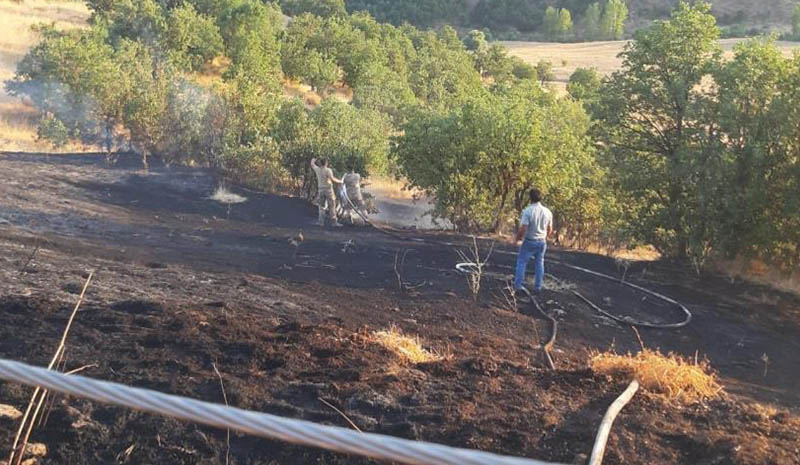 Otluk yangını büyümeden söndürüldü