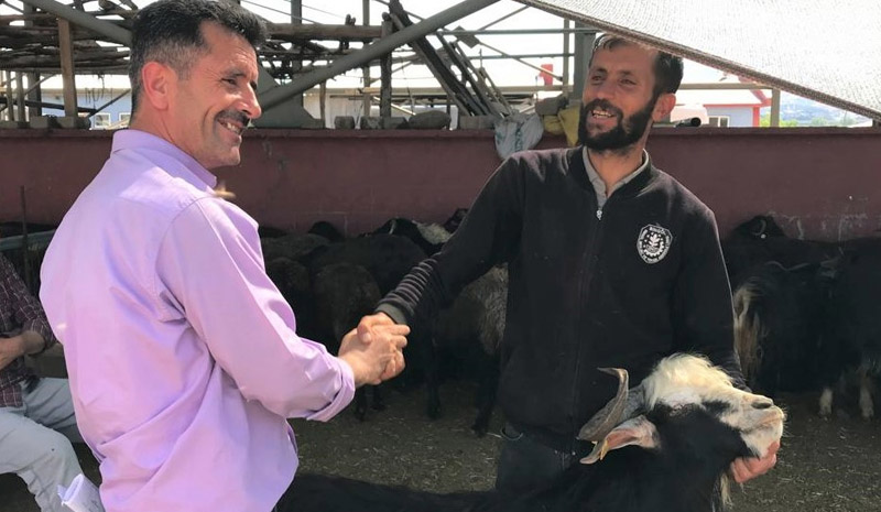 Bingöl`de kurbanlıklar için kol koparan pazarlıklar sürüyor