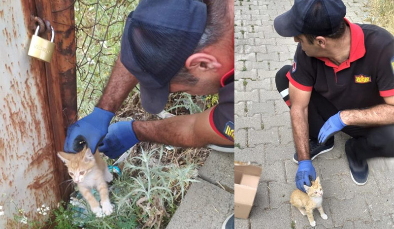 Bingöl`de tellere sıkışan yavru kediyi itfaiye kurtardı