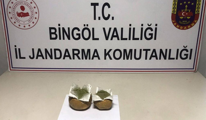 Bingöl`de 2 Bin 500 kök kenevir ve yarım kilo esrar ele geçirildi!