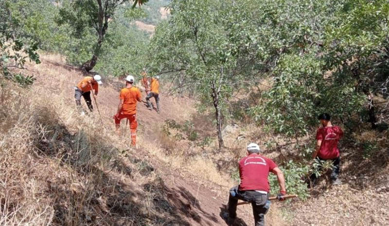 Bingöl`de 2 gündür süren yangın büyük oranda kontrol altına alındı