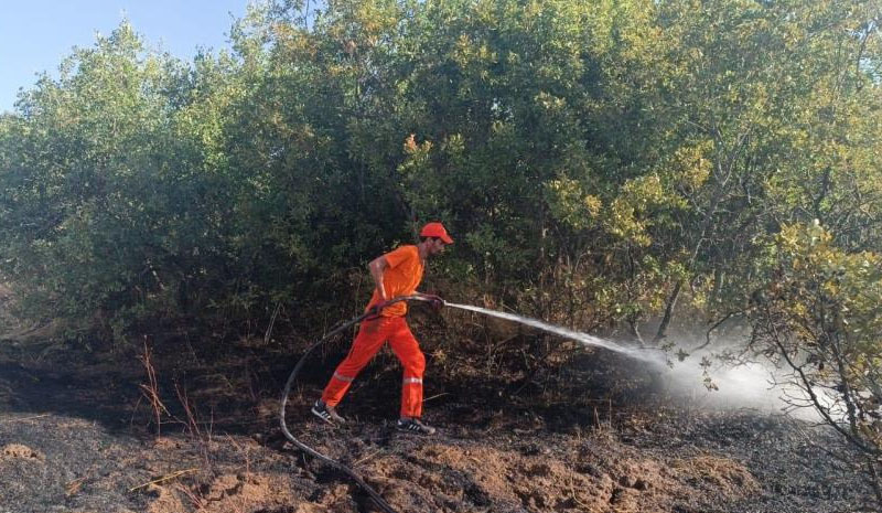 Bingöl`de ot yangını korkuttu!