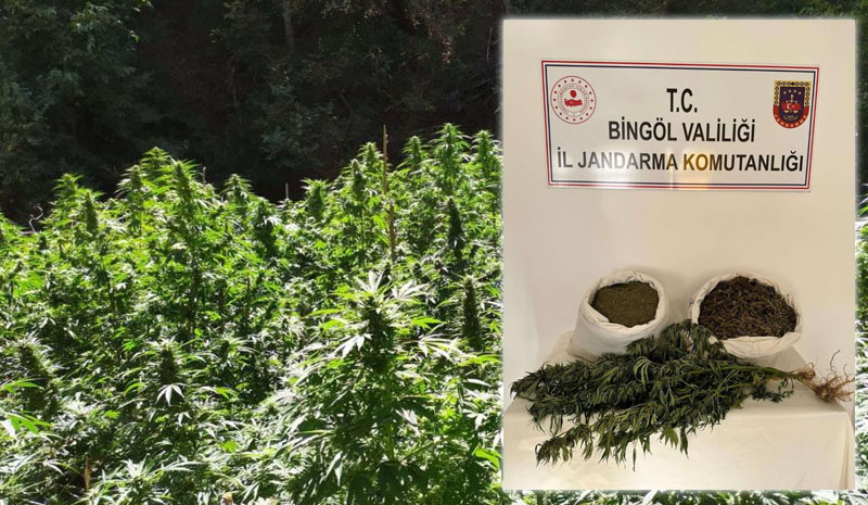 Bingöl`de uyuşturucu madde ele geçirildi
