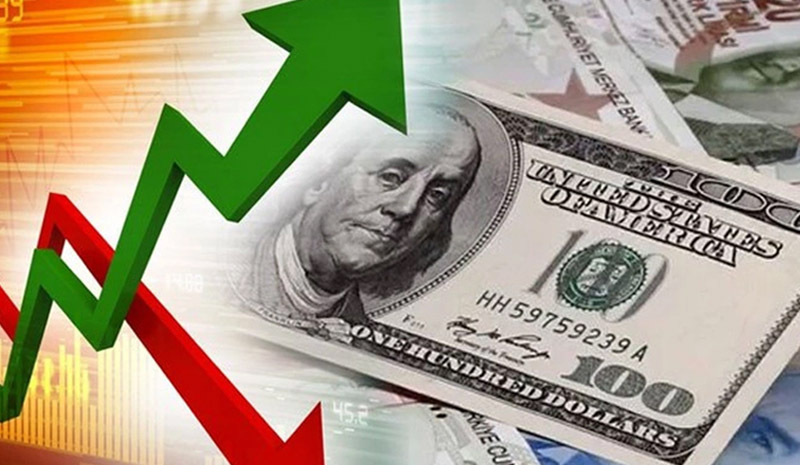 Dev banka yılsonu dolar tahminini açıkladı