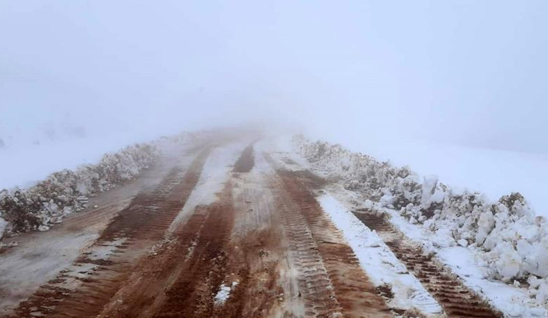 Bingöl`de 2 bin 500 rakımlı tepe beyaza büründü