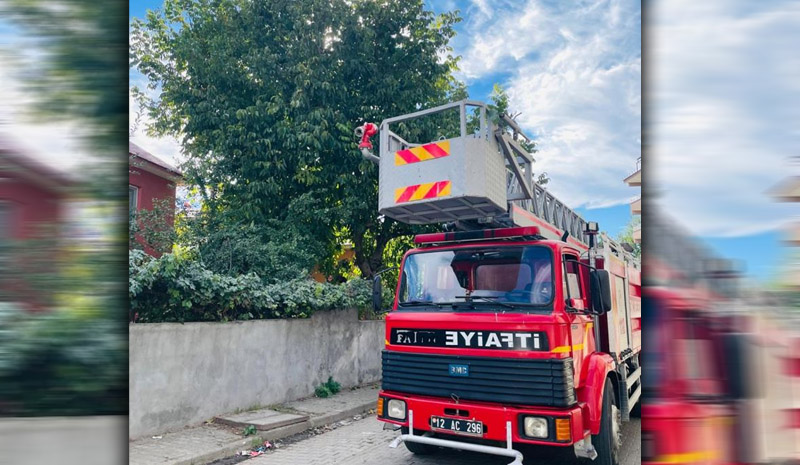 Silkelemek için çıktığı ceviz ağacında mahsur kaldı