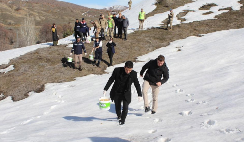 Genç`te yaban hayatı unutulmadı