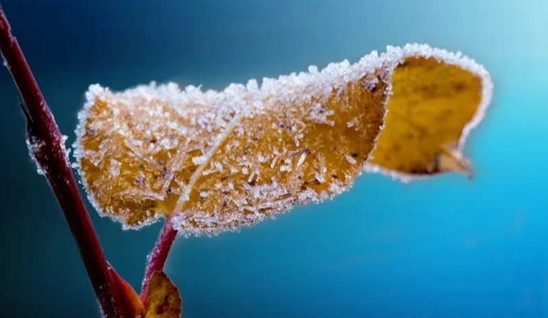 Meteoroloji`den Bingöl için ‘zirai don` uyası