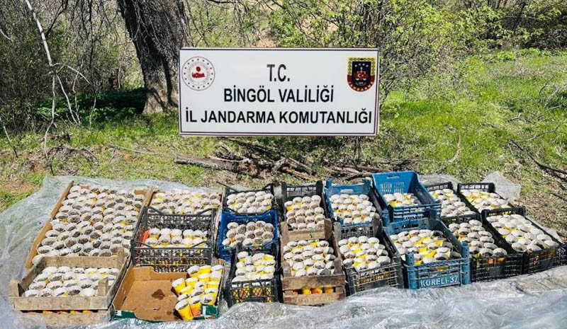 Bingöl`de uyuşturucu tacirleri ekime hazırlanırken yakalandılar