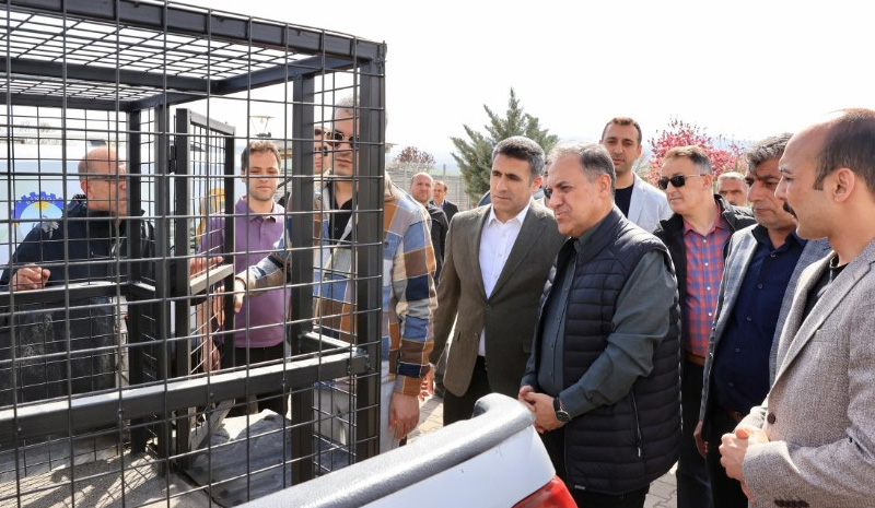 Bingöl`de sokak hayvanları tehdit olmaktan çıkarılacak