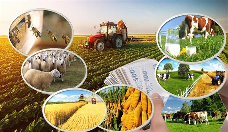 Hibe desteği alacaklar dikkat! Son başvuru 23 Temmuz