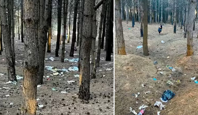 Bingöl`de ormanlık alanı çöplerden arındırdılar