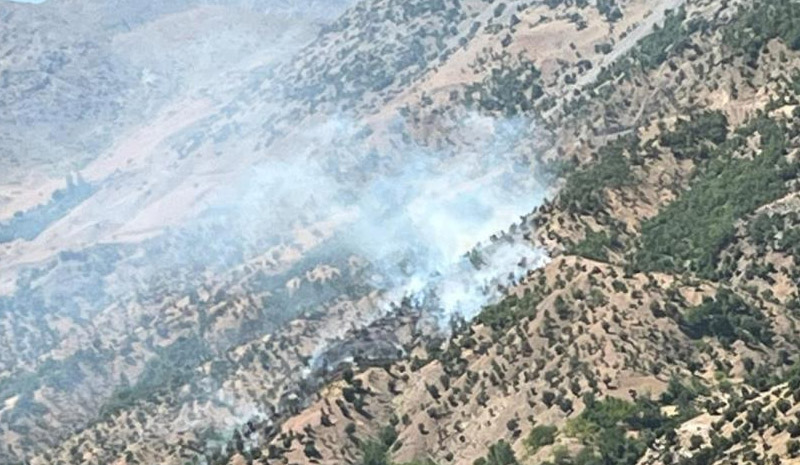 Bingöl`deki orman ve arazi yangınları söndürüldü