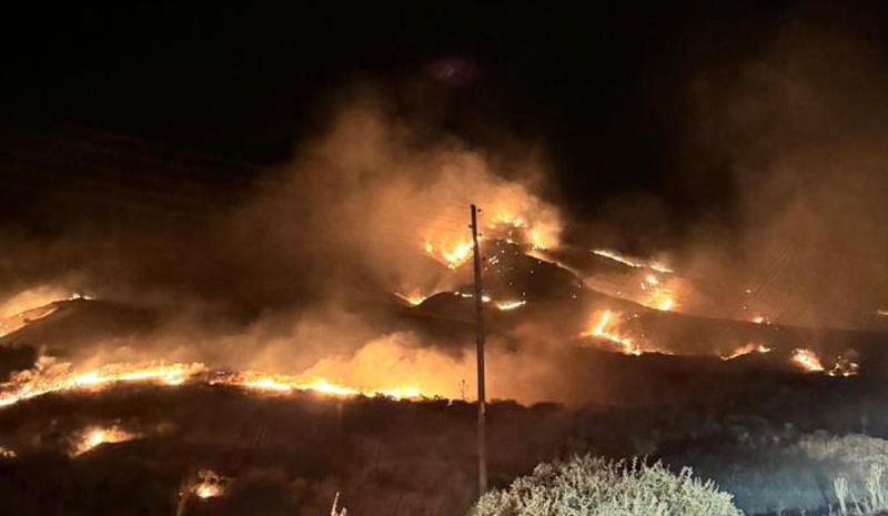 Bingöl`de orman yangınları