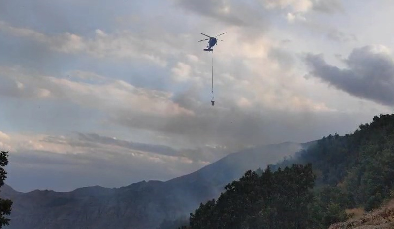Bingöl`de çıkan orman yangınlarına havadan ve karadan müdahale