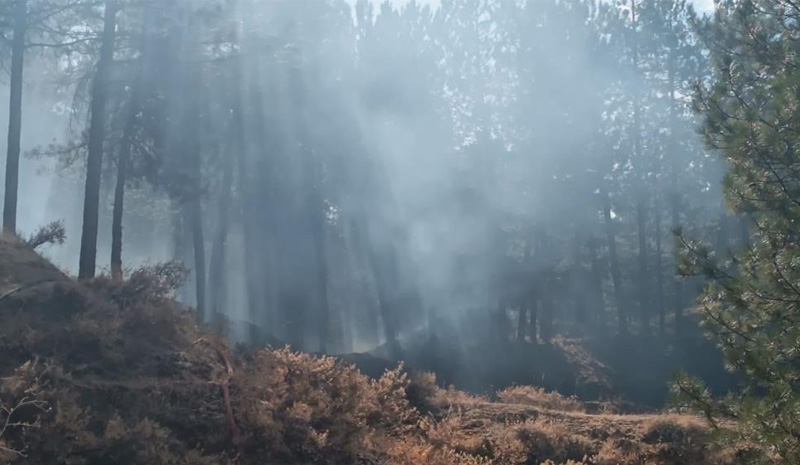Erken müdahaleyle yangın büyümeden söndürüldü