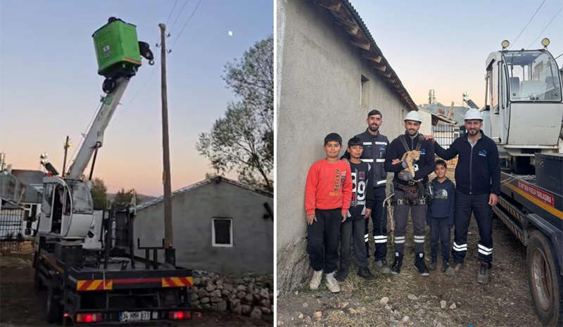 Elektrik direğinde mahsur kalan kediyi ekipler kurtardı