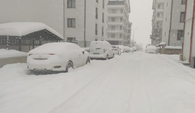 Bingöl`de kar fena bastırdı!