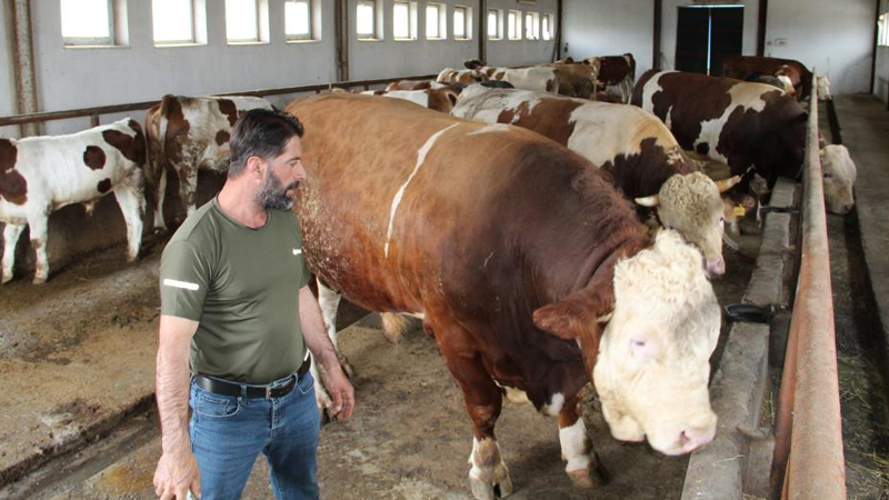 ‘Tosun Paşa` Rekor Fiyata Satıldı