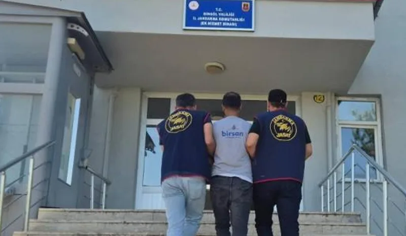 Bingöl`de 5 bin 176 kök kenevir ele geçirildi