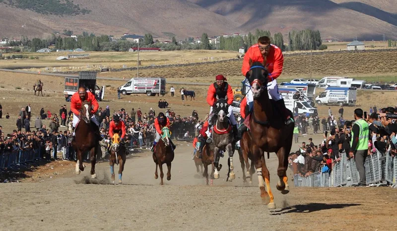 Karlıova`da atlar yarıştı, Vali Çelik de piste çıktı
