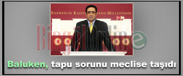 Baluken, tapu sorunu meclise taşıdı