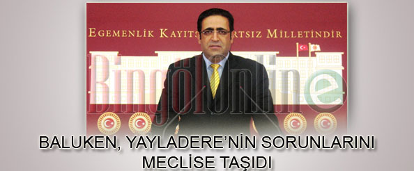 Baluken, yayladere`nin sorunlarını meclise taşıdı