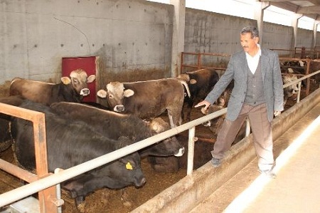 Besicilere yeni destek geldi