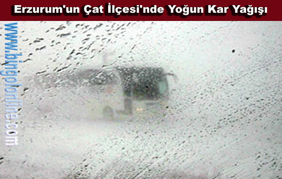Bingöl otobüsleri erzurum`da mahsur kaldı