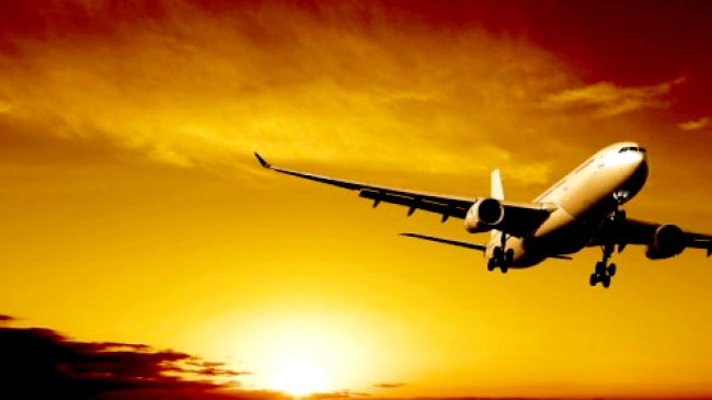 Bingöl uçağı elazığ`a indi