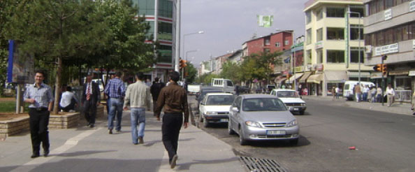 Bingöl`de 20 kişiye 1 araç düşüyor