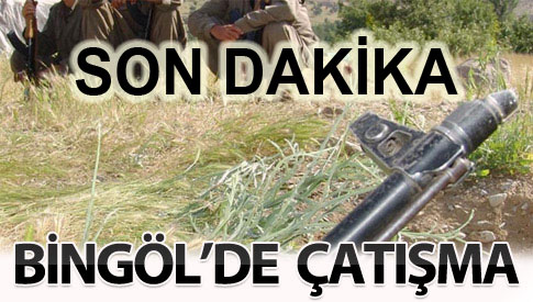 Bingöl`de 5 pkk`lı öldürüldü